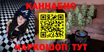 крисы Будённовск