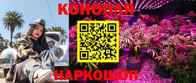СК Бузулук