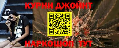 крисы Будённовск